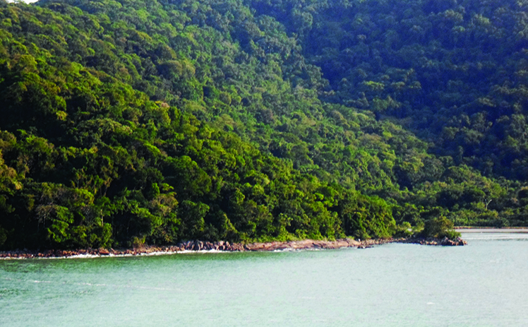 Localizado em Praia Grande e São Vicente, na Baixada Santista, o Parque Estadual Xixová-Japuí é um fragmento de Mata Atlântica que recebe milhares de visitantes todo ano
