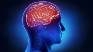 O Parkinson é uma doença neurodegenerativa que afeta o Sistema Nervoso Central