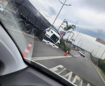 Um caminhão bateu em um poste de sinalização e em uma árvore localizados próximos à entrada de Santos.