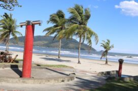 Populaçao deve evitar arvores e predios em construçao