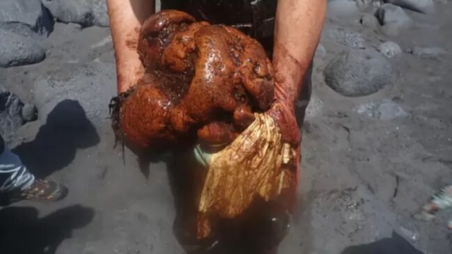 Pedra é conhecida como ouro flutuante
