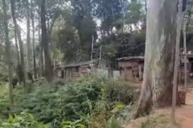 Favela Capadócia, na região da Vila Brasilândia, zona norte da capital.