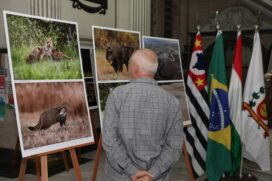 Uma das visitantes da exposição, Cíntia Silva de Oliveira disse que as fotografias permitem conhecer uma região onde nunca esteve