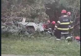 Um motorista perdeu o controle do carro e acabou saindo fora da pista e parando na mata na Rodovia Rio-Santos