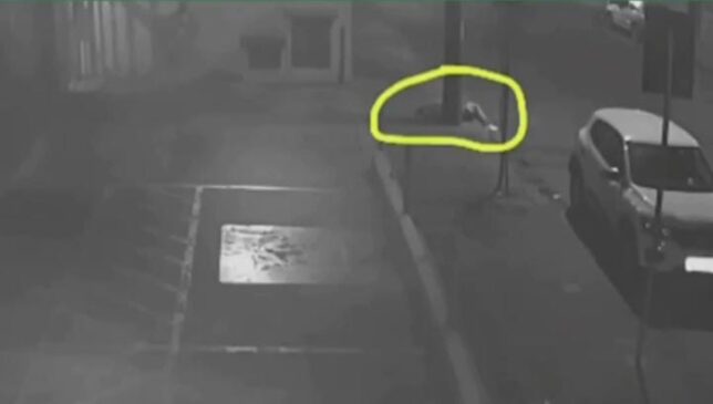 A mulher foi levada para o Pronto-Socorro do Hospital Odilon Behrens
