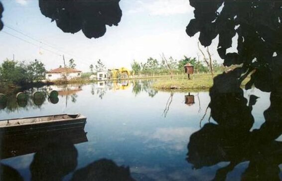 Parque Cotia Pará é um dos atrativos da Vila Natal