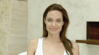 Pitt acusou a ex-mulher de vender o imóvel sem seu conhecimento para o oligarca russo Yuri Shefler