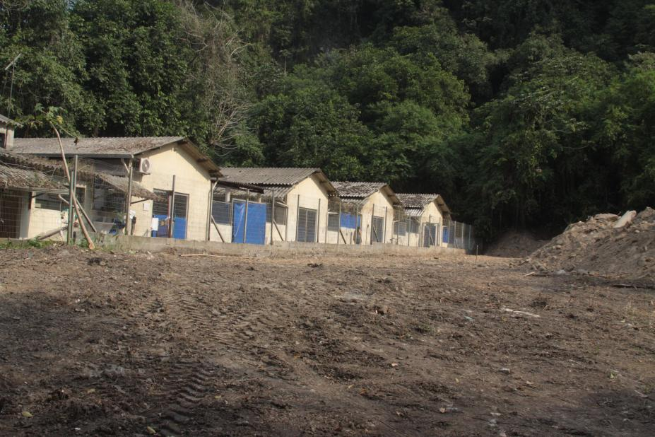 Unidade terá mais espaço para atender os pets