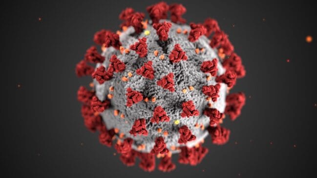 Durante os mesmos 28 dias, o vírus causou ainda 2,5 mil mortes
