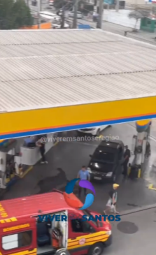 As chamas foram controlas e não houve feridos