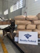 Foi a primeira indicação do novo cão de faro da Alfândega de Santos