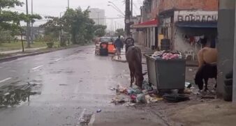 Alguns cavalos foram flagrados e chamaram a atenção de moradores de São Vicente