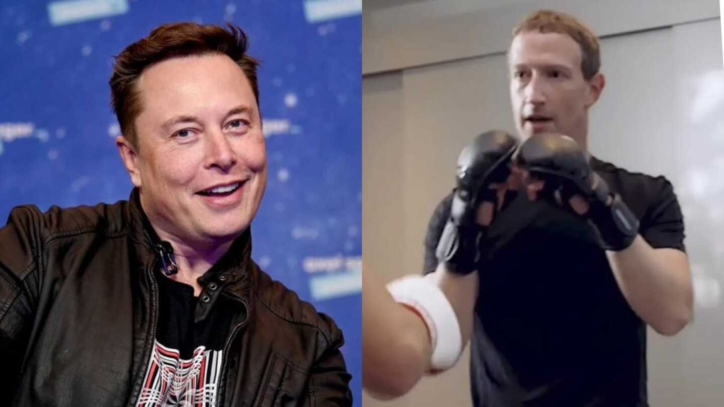 Elon Musk e Mark Zuckerberg cogitam lutar um contra o outro