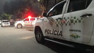 A apreensão resultou em multas de quase R$ 1 milhão aos infratores.