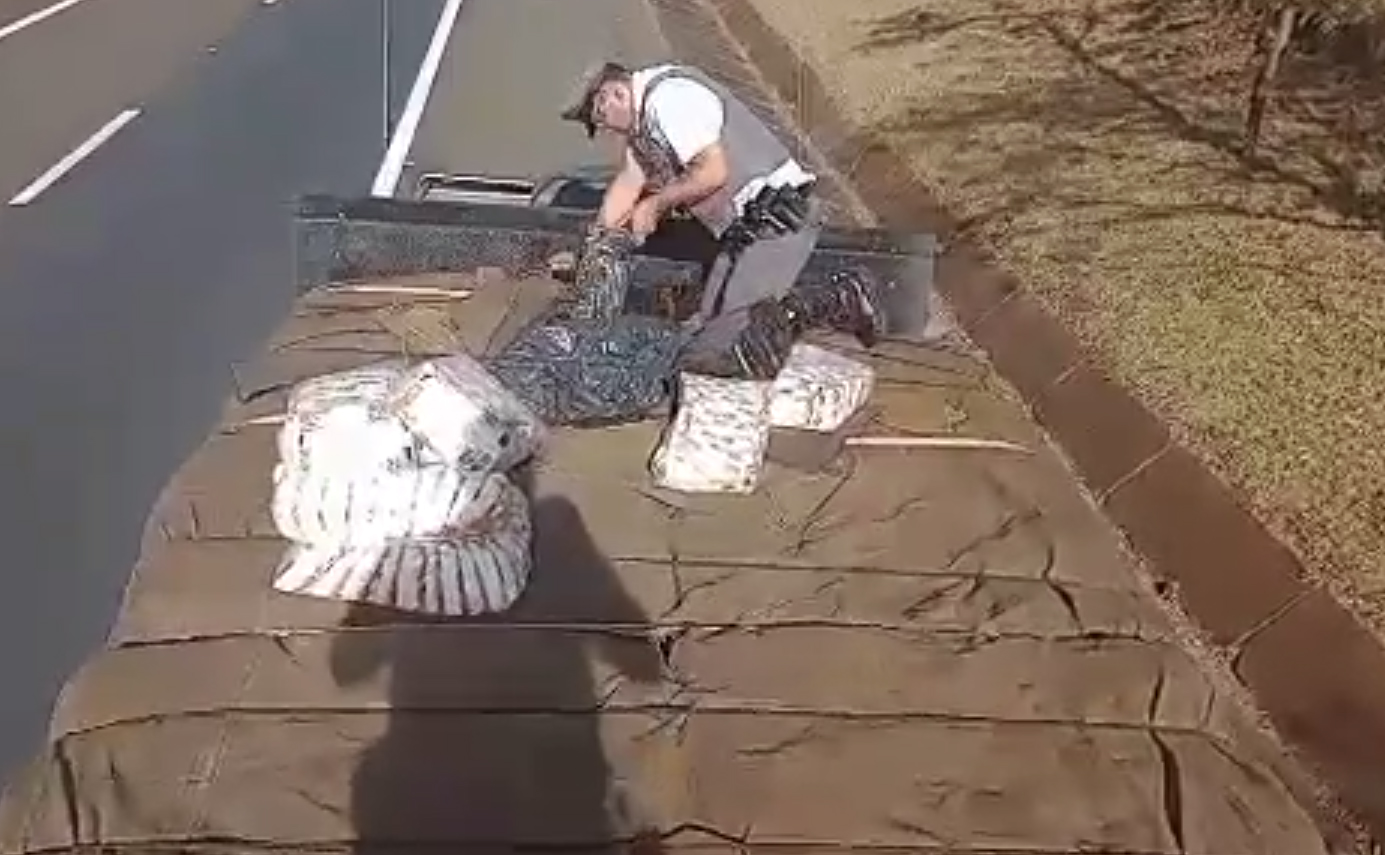 Droga apreendida no interior de SP