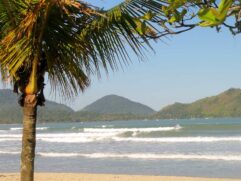 Praia do Perequê Açu, em Ubatuba, está com bandeira vermelha