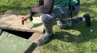 Agentes eliminaram quatro focos com larvas de mosquito