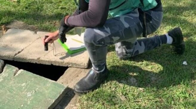 Agentes eliminaram quatro focos com larvas de mosquito