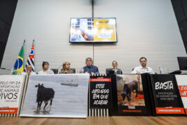 Audiência para debater o transporte de animais vivos pelo Porto de São Sebastião