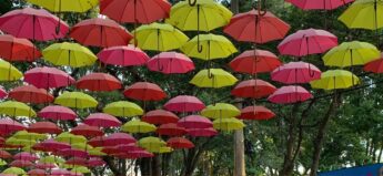 O Festival acontece de 22 de setembro a 22 de outubro (sexta, sábado e domingo), na Praça 22 de janeiro