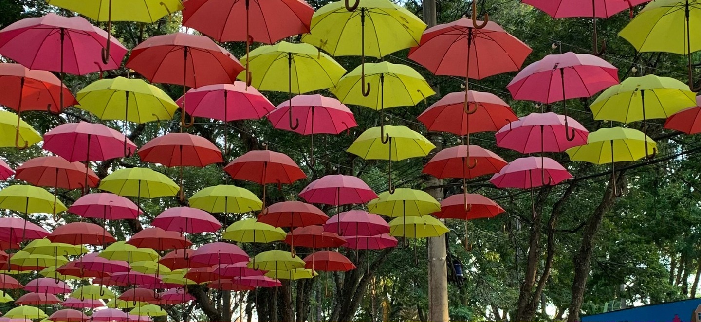 O Festival acontece de 22 de setembro a 22 de outubro (sexta, sábado e domingo), na Praça 22 de janeiro