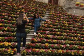 Estação mais colorida do ano será recebida em Santos com aproximadamente 8 mil flores