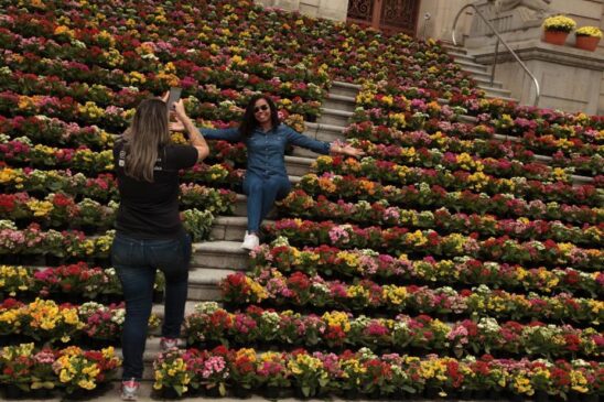 Estação mais colorida do ano será recebida em Santos com aproximadamente 8 mil flores