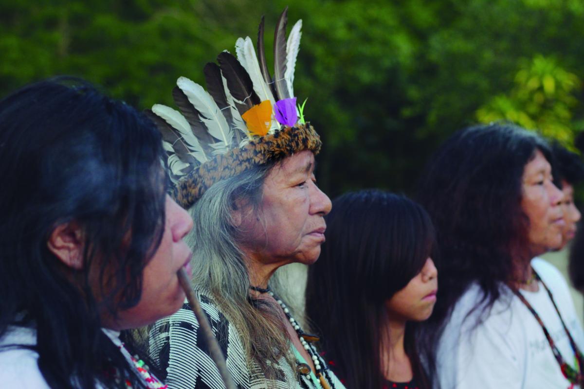 'Nhãndê kuery mã hi'ãn rivê hê'yn (Não somos apenas sombras)', de Dino Menezes