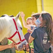 A Associação Equoterapia oferece um importante trabalho no desenvolvimento e atendimento a crianças e adolescentes com necessidades especiais