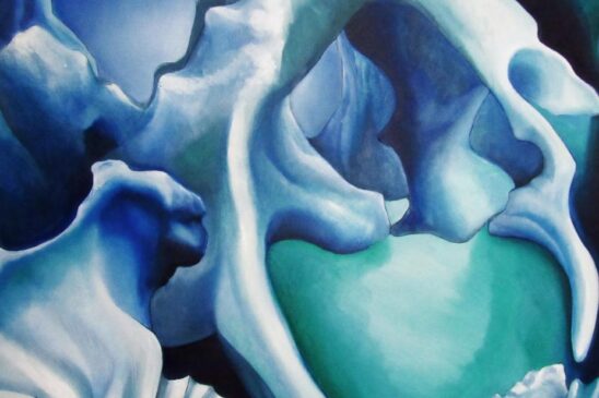 Mostra busca levar para a experiência das artes visuais contemporâneas brasileiras elementos de geografia, fauna e flora
