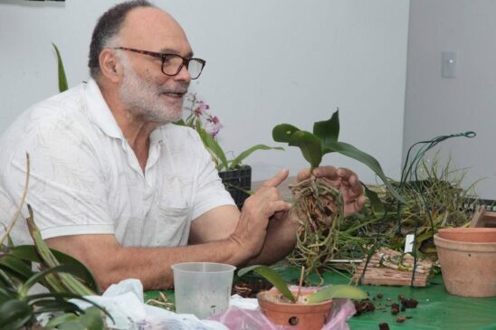 Encontro será ministrado pelo orquidófilo Paulo Cunha, no auditório do parque zoobotânico