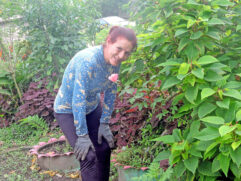 A professora aposentada Regina Muri transformou um depósito de entulho e mato em um jardim comunitário