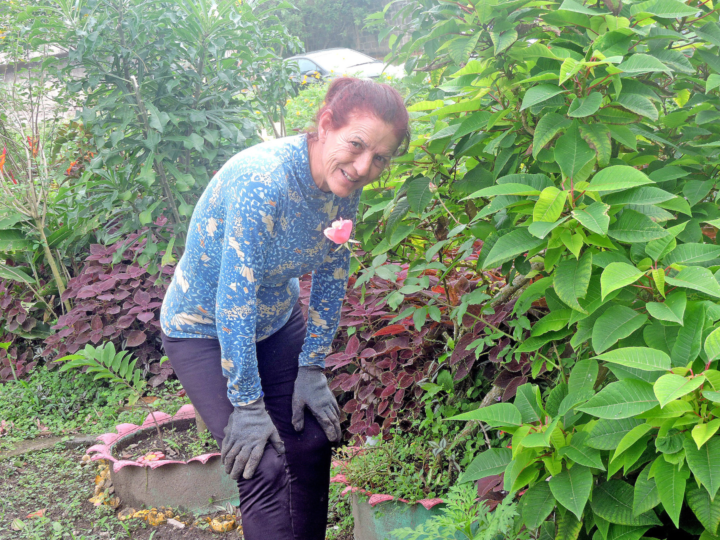 A professora aposentada Regina Muri transformou um depósito de entulho e mato em um jardim comunitário