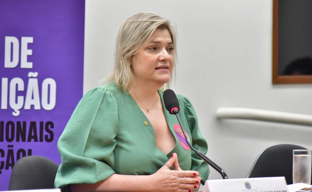 O requerimento para a reunião conjunta da Comissão de Educação e da Comissão de Direitos Humanos ocasionou a audiência