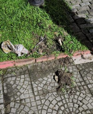 Os suspeitos foram encaminhados à delegacia e ficaram à disposição da justiça.