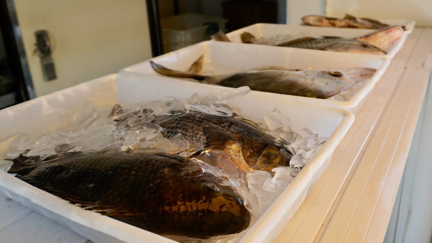 A festa foi suspensa por conta das condições climáticas em que há previsão chuva e ventos.