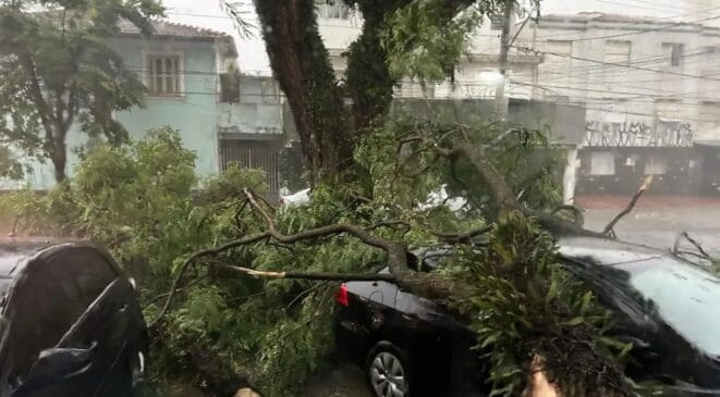 De acordo com o Corpo de Bombeiros da Polícia Militar do Estado de São Paulo, ocorreram, só da meia-noite deste sábado (4) até às 12h35, 528 chamados para quedas de árvores