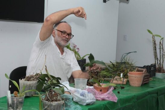 Os alunos poderão aprender técnicas de cultivo, replantio, adubação e troca de substrato da planta
