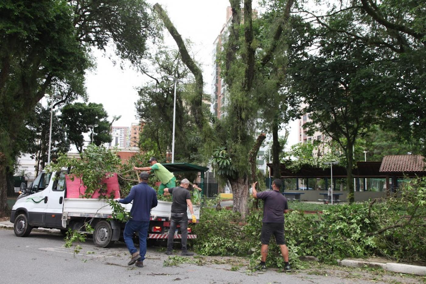 Profissionais retiram árvores e galhos caídos na Praça da Aparecida