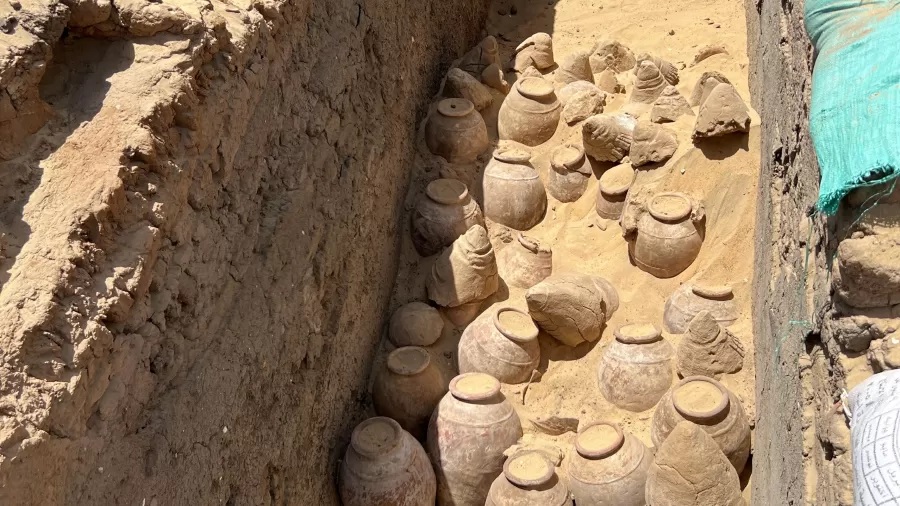 As garrafas de vinhos de 5 mil anos foram encontradas no Egito