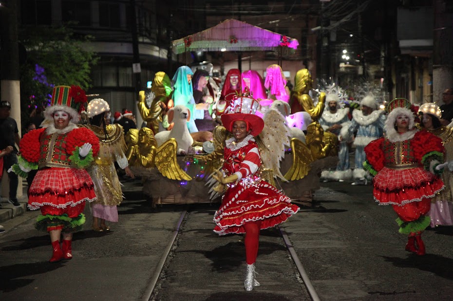 Participaram integrantes das agremiações Estrela do Terceiro Milênio, Mancha Verde, Dragões da Real, Unidos do Peruche, Acadêmicos do Tucuruvi, além das santistas X-9, Vila Mathias e União Imperial.
