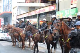 PMs do Regimento de Polícia Montada (RPMon) Nove de Julho realizavam patrulhamento na rua da Cantareira quando viram um homem em atitude suspeita e o abordaram