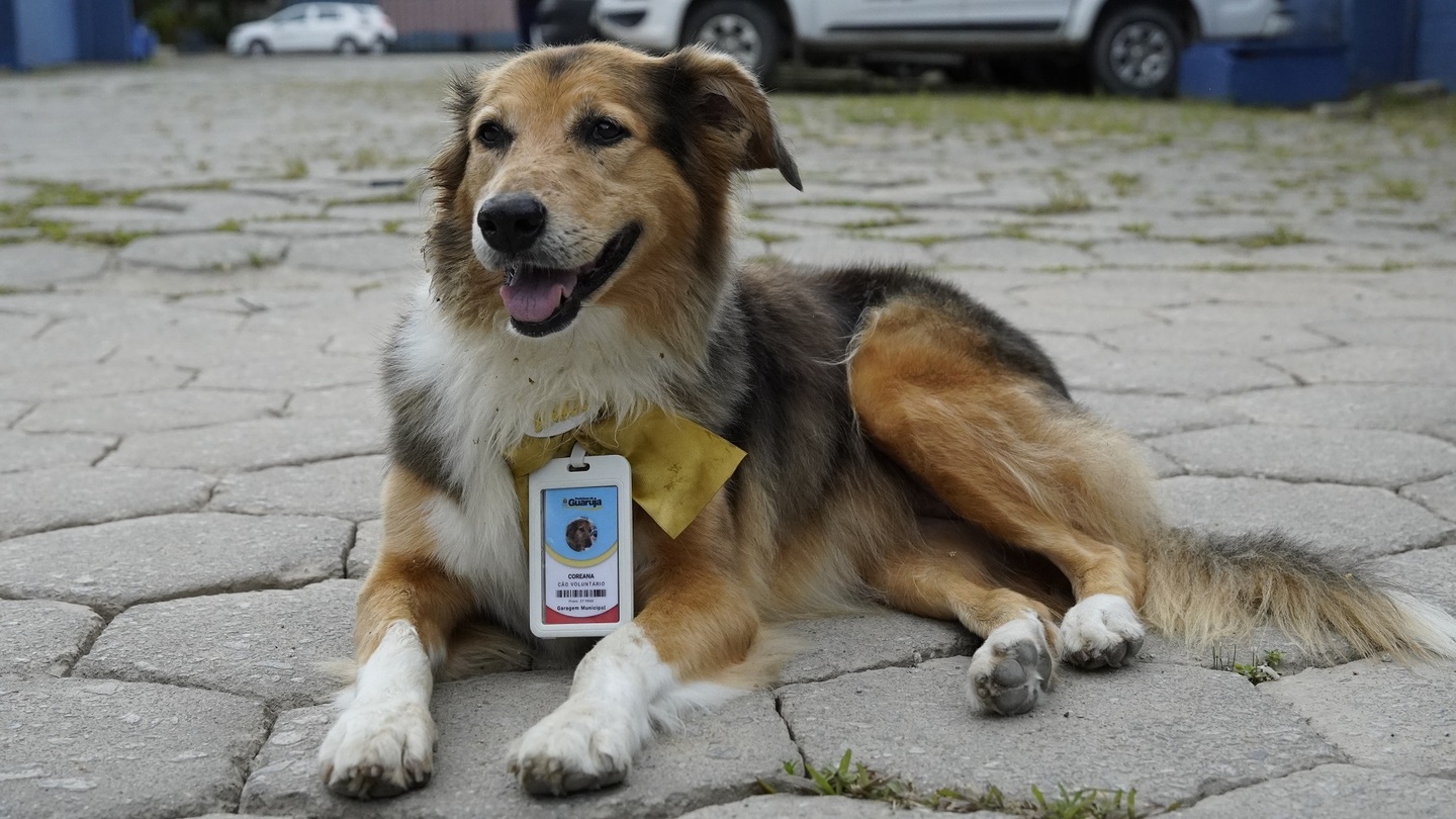 Coreana também ganhou um crachá em Guarujá