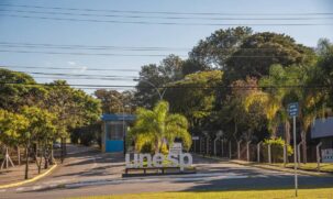 A universidade informa ainda que serão criadas campanhas permanentes para combater os trotes com a criação de um memorial em homenagem as vítimas desse tipo de situação constrangedora