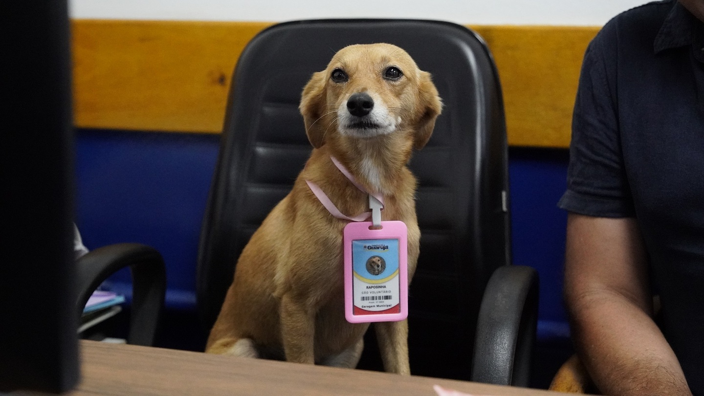 Raposinha é um dos novos servidores que atuarão em Guarujá