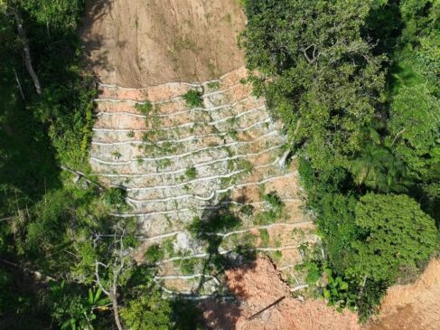 Menos de um ano depois das mais intensas chuvas concentradas em um único local já registradas no Brasil, em fevereiro de 2023, a primeira etapa da recuperação ambiental das cicatrizes na Serra do Mar no Litoral Norte de São Paulo foi concluída com sucesso