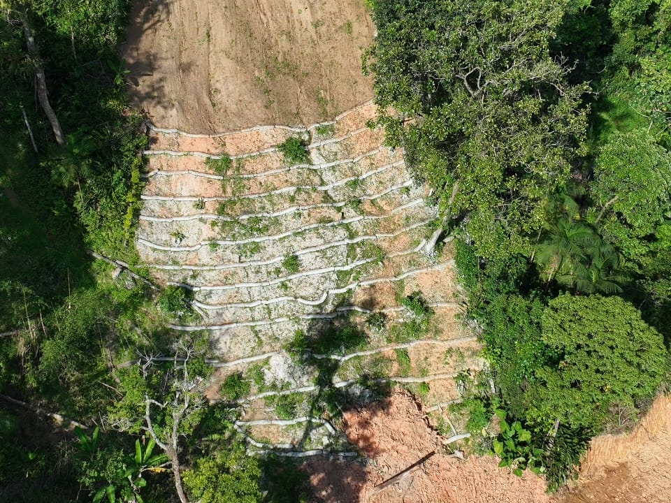 Menos de um ano depois das mais intensas chuvas concentradas em um único local já registradas no Brasil, em fevereiro de 2023, a primeira etapa da recuperação ambiental das cicatrizes na Serra do Mar no Litoral Norte de São Paulo foi concluída com sucesso