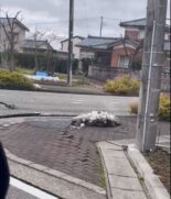 Terremoto de magnitude de 7,6 atingiu o centro-norte do Japão