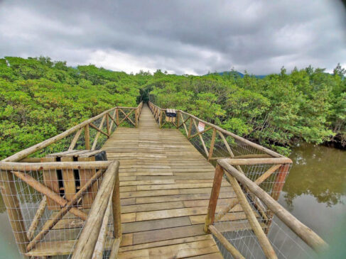 Conhecida como o Portal da Juréia, a Cidade se localiza entre o mar e o Parque Estadual da Serra do Mar