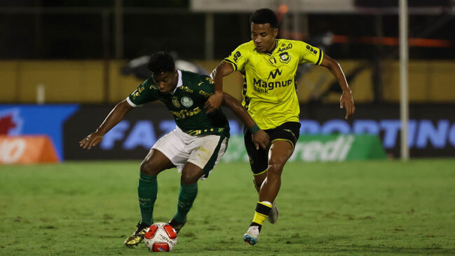 Com a vitória, o Palmeiras chegou a 17 pontos na liderança do Grupo B e está apenas a dois do Santos que ocupa a liderança geral da competição, mas com um jogo a mais